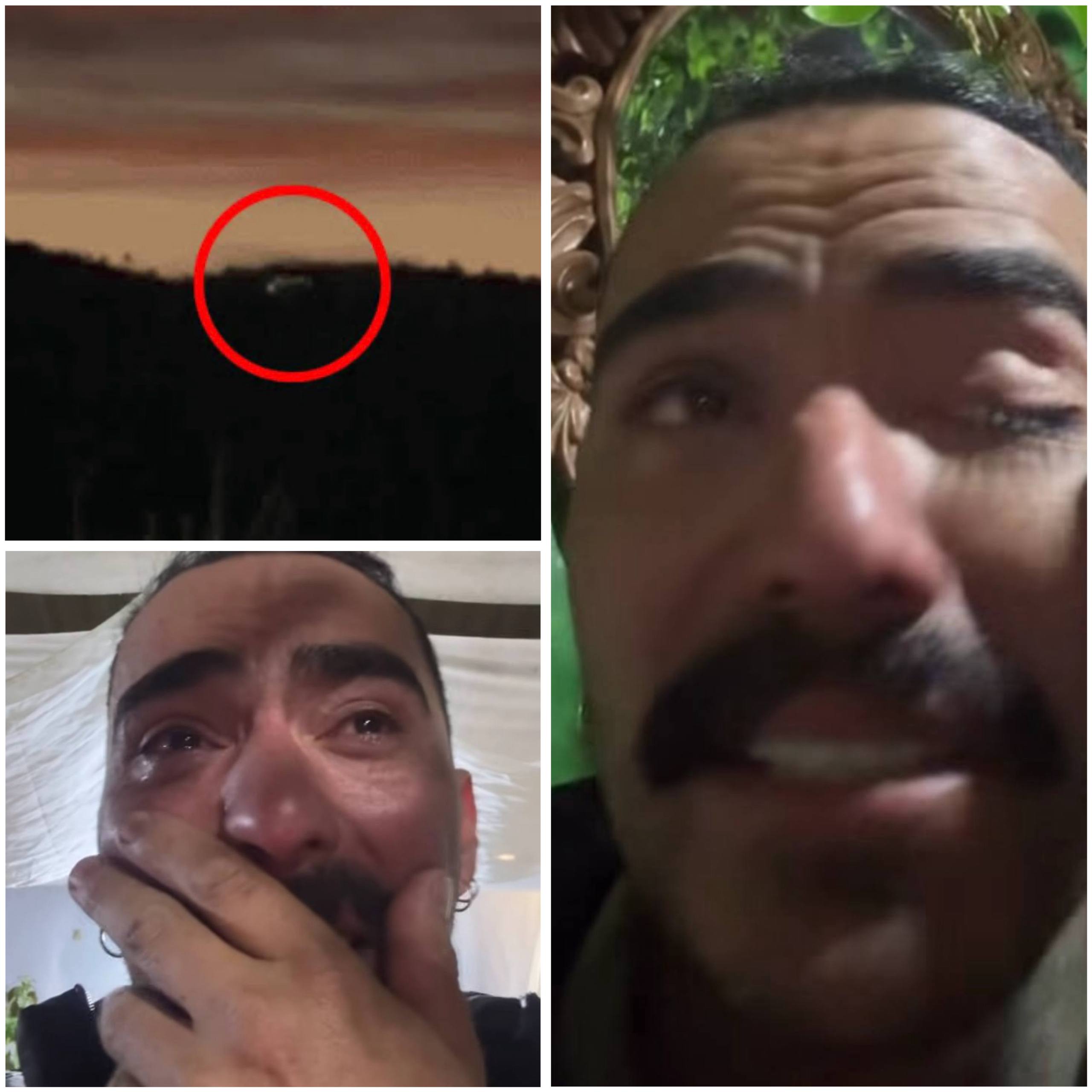 Foto vaquinha